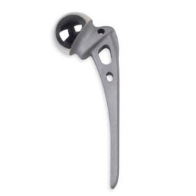 primary hip prosthesisAUSTIN MOORE