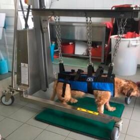 emergency trolleyGCL/VET