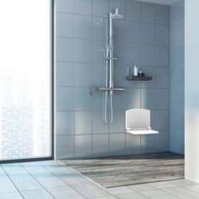 shower seat with backrestFDS-S