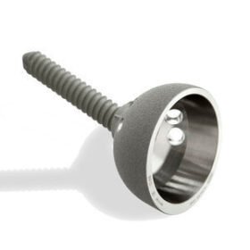 revision acetabular prosthesisSANSONE