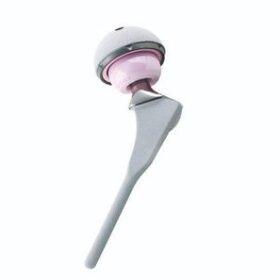 primary hip prosthesisFurlong® H-A.C