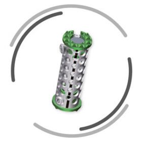 cervical vertebral corpectomy prosthesisPALIO