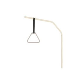 over bed pole hoist