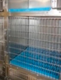 modular veterinary cage1018/Rev2