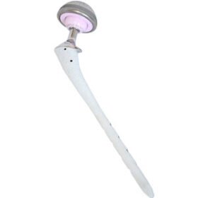 revision hip prosthesisTTHR EASY®