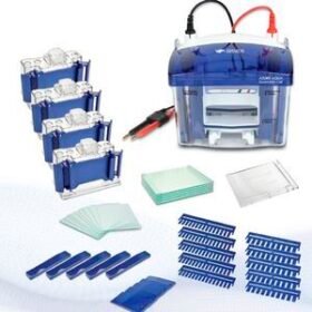 vertical electrophoresis tankAqua Quad Mini-Cell