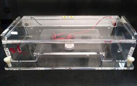 horizontal electrophoresis chamberGEE-100