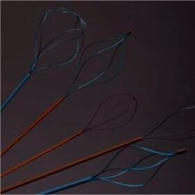 kidney stone extraction endoscopic basket