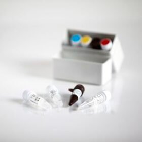 AIDS test kit09013 series