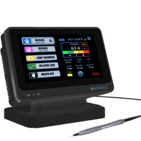 veterinary surgery laserVETEO PLUS