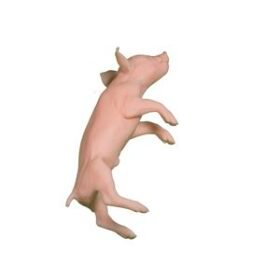 veterinary training manikin