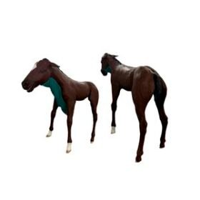 veterinary training manikin