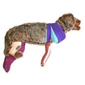 veterinary training manikinRUFUS