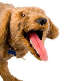 veterinary training manikinJerry K-9