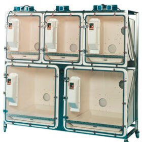 veterinary isolation cageFIC