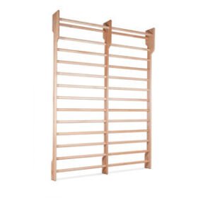 double rehabilitation wall bars2cz107