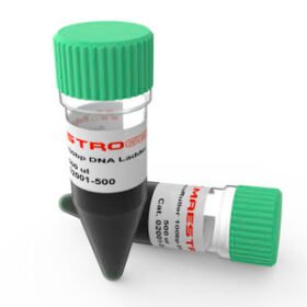 DNA ladderAccuRuler