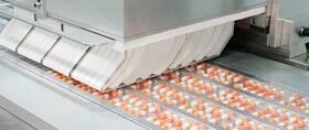 linear feeding system