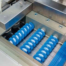 automatic feeder