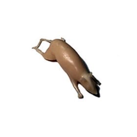 MRI veterinary test phantom