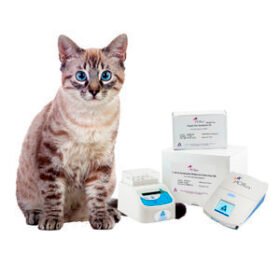 veterinary detection kitPCRun®