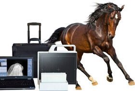 veterinary radiography acquisition systemDR