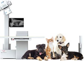 veterinary X-ray systemi72W