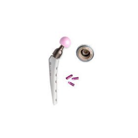 cementless veterinary hip prosthesisZurich THR