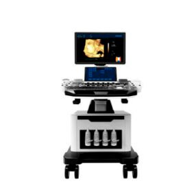 on-platform ultrasound systemT6