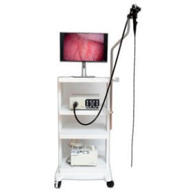 video veterinary gastroscopeHU37T