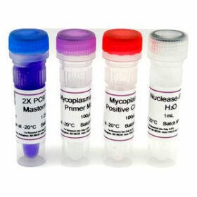Mycoplasma detection kitM125