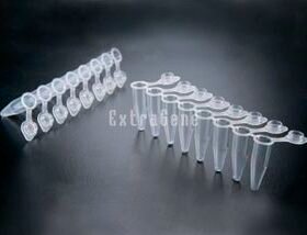 PCR sample tubeP-02X8-CF