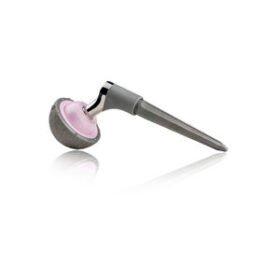 primary hip prosthesisSMR 100’s