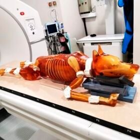MRI veterinary test phantomDG-A02