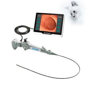 video veterinary bronchoscopeEC series