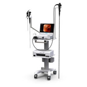 video veterinary bronchoscopeVHP-1315