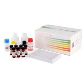 veterinary test kitPRRSV