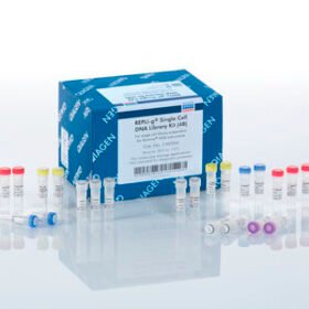 solution reagent kitREPLI-g