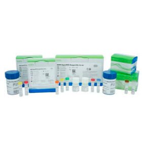 solution reagent kitKAPA HyperPETE