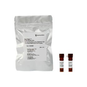 reverse transcriptase reagentRapi:Amp™ Master Mix