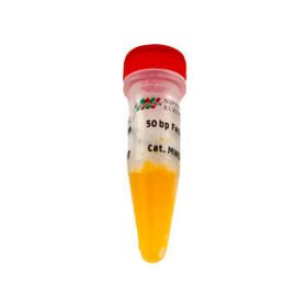 enzyme reagent kitFastGene®