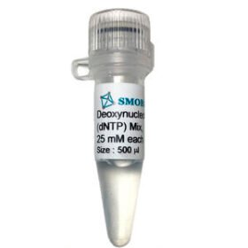 dNTP solution reagentSMOChem™