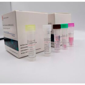 PCR test kit