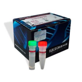 solution reagent kitRealType®