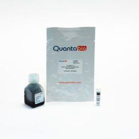 Taq DNA polymerase reagent kitAccuStart II GelTrack®