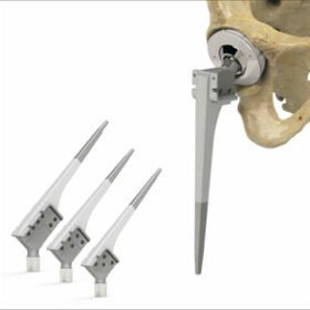 primary hip prosthesis7033 series