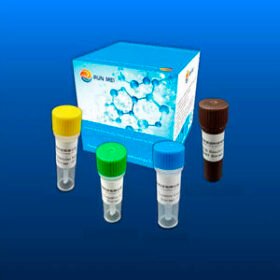 COVID-19 detection kit