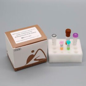 COVID-19 test kit