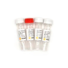 DNA polymerase reagentRK20714