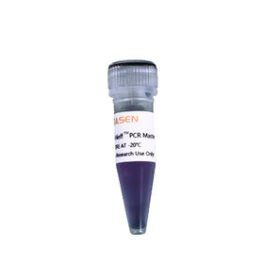 solution reagent2×Hieff™